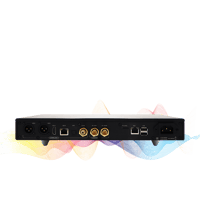 Denafrips Arcas Streamer variant 3