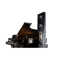 Steinway Lyngdorf Model D variant 5