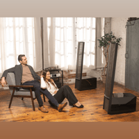 MartinLogan Impression  ESL 11A variant 45