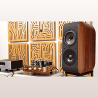 Chario Aviator Nobile variant 1