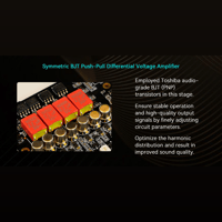 Cayin C9ii variant 19