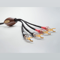 Jorma Audio Prime variant 3