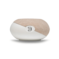 Bluesound PULSE CINEMA MINI variant 10