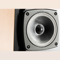 Vandersteen Quatro Wood CT variant 8