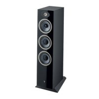 Focal Theva N°3 variant 7