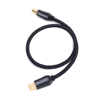 Pangea Audio Pangea Audio Premier SE USB Cable variant 1