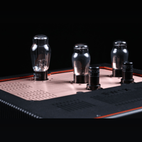 SW1x DAC IV variant 11