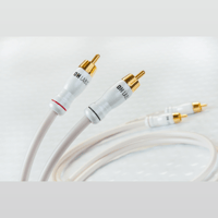 Silver Sonic White Lightning variant 1