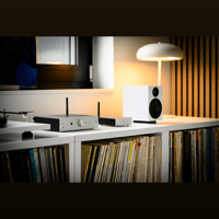 Pro-ject Audio Systems - USA Stream Box E variant 4