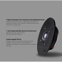 Cayin T30 MK2 variant 3