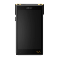 Sony NW-WM1AM2 variant 5
