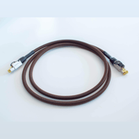 Silver Sonic Reunion Cat8 Ethernet variant 5