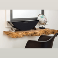 MartinLogan Forte variant 25