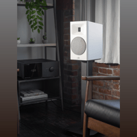MartinLogan Motion B10 variant 43