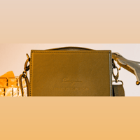 Cayin Cayin Multifunctional Carrying Case variant 3