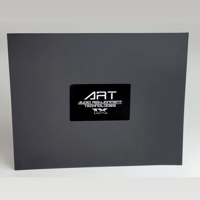 A.R.T. Audio Realignment Technologies ART 1X variant 1
