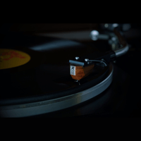 AnalogRelax EX300 Phono Cartridge variant 2