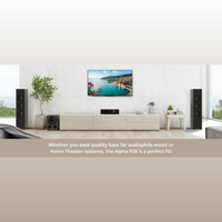 Magnat Alpha RS 8 variant 7