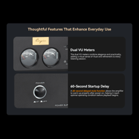 Cayin HA-300 MK3 variant 12