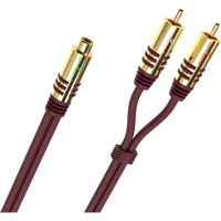 Oehlbach NF Y-Sub AD variant 1