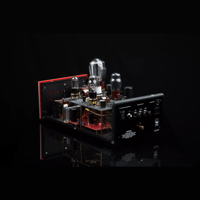 SW1x MPA III “Oracle” Mono Power Amplifier variant 6