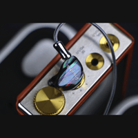 Tipsy Dunmer Pro variant 11