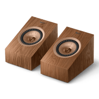 KEF R8 Meta variant 6