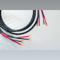 Silver Sonic Q-10 Signature variant 2