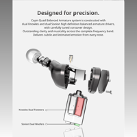 Cayin YB04 variant 4