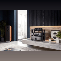 Chord Electronics DAVE variant 5