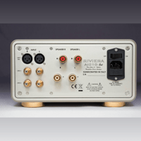 Riviera Labs AIC10-Bal variant 6