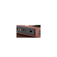 FiiO TT11 variant 11