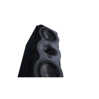 Perlisten R5m variant 2