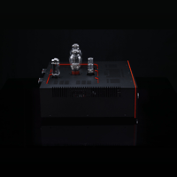 SW1x AMP V “Titan” Integrated Amplifier variant 1