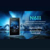 Cayin N6iii R202 variant 1