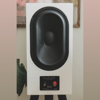 Buchardt Audio P300 variant 11