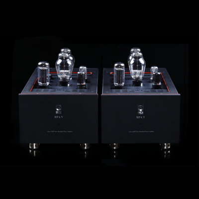 SW1x MPA V “Atlas” PP Mono Power Amplifier