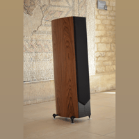 Acoustic Energy corinium variant 13