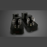 Ayon audio Ayon Scorpio Mono variant 3