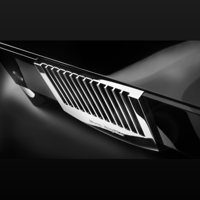 MBL - USA MBL N15 variant 4