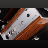 Fjord Audio Model P150 variant 4