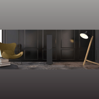 Acoustic Energy AE309 variant 7