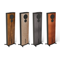 Innovo Audio Designs Luxe T1 variant 3