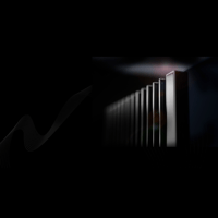 MBL - USA MBL N21 variant 2