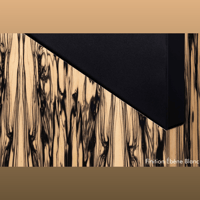 Davis Acoustics The Wall variant 5