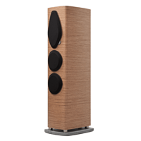 Sonus Faber Sonetto v variant 2