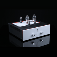 SW1x AMP V “Titan” Integrated Amplifier variant 10