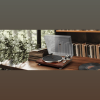 MUSE HiFi MT-109 WTO variant 7