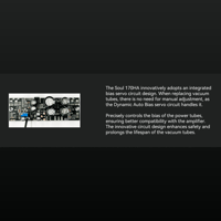 Cayin Soul 170HA variant 21