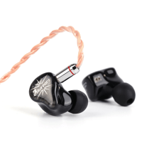 Kiwi Ears Orchestra variant 2